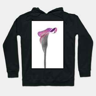 Calla Lily Single2 Hoodie